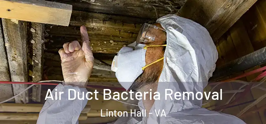  Air Duct Bacteria Removal Linton Hall - VA