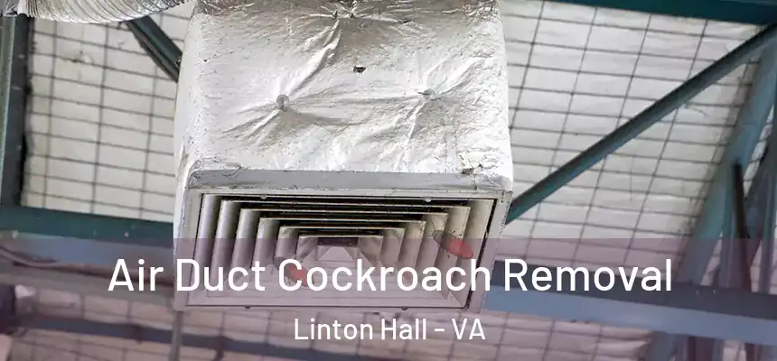  Air Duct Cockroach Removal Linton Hall - VA
