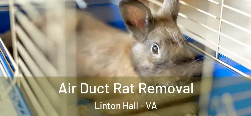 Air Duct Rat Removal Linton Hall - VA