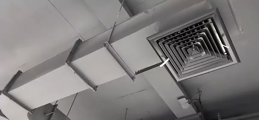 Restorative Allergy Relief Vent Cleaning – Coil, Blower & Housing Detail in Linton Hall