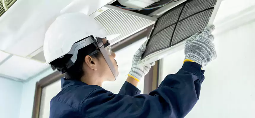 Our Mold & Mildew Removal from Air Ducts Services in Linton Hall, VA