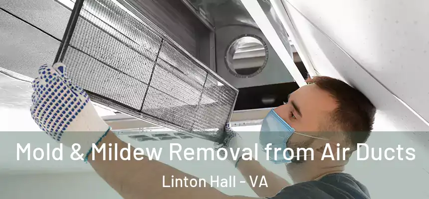 Mold & Mildew Removal from Air Ducts Linton Hall - VA