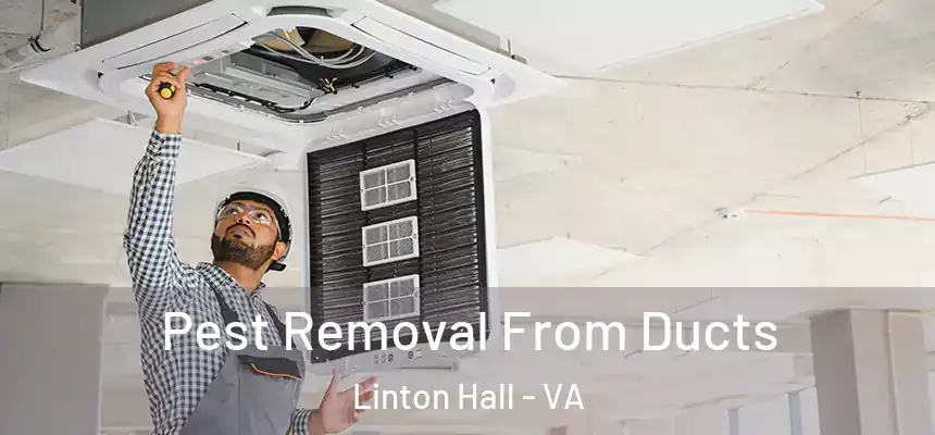 Pest Removal From Ducts Linton Hall - VA