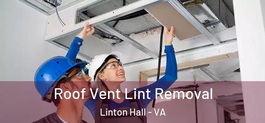 Roof Vent Lint Removal Linton Hall - VA
