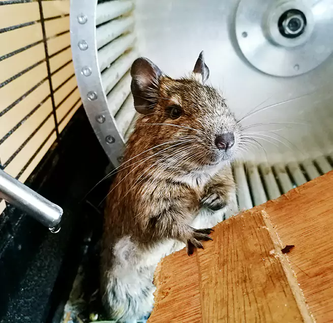 Why Homeowners & Businesses Trust Us Linton Hall, VA