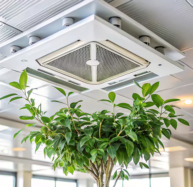 Why Homeowners & Businesses Trust Us in Linton Hall, VA