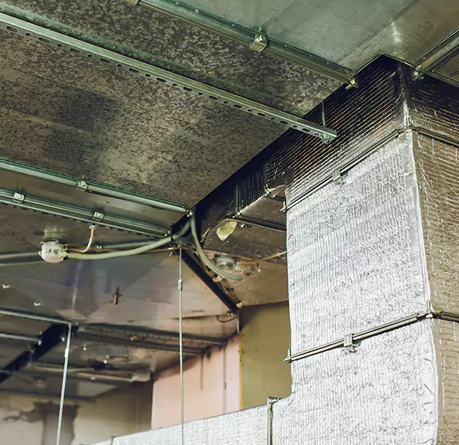 Why Homeowners & Businesses Trust Us in Linton Hall, VA?